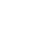 logowhite