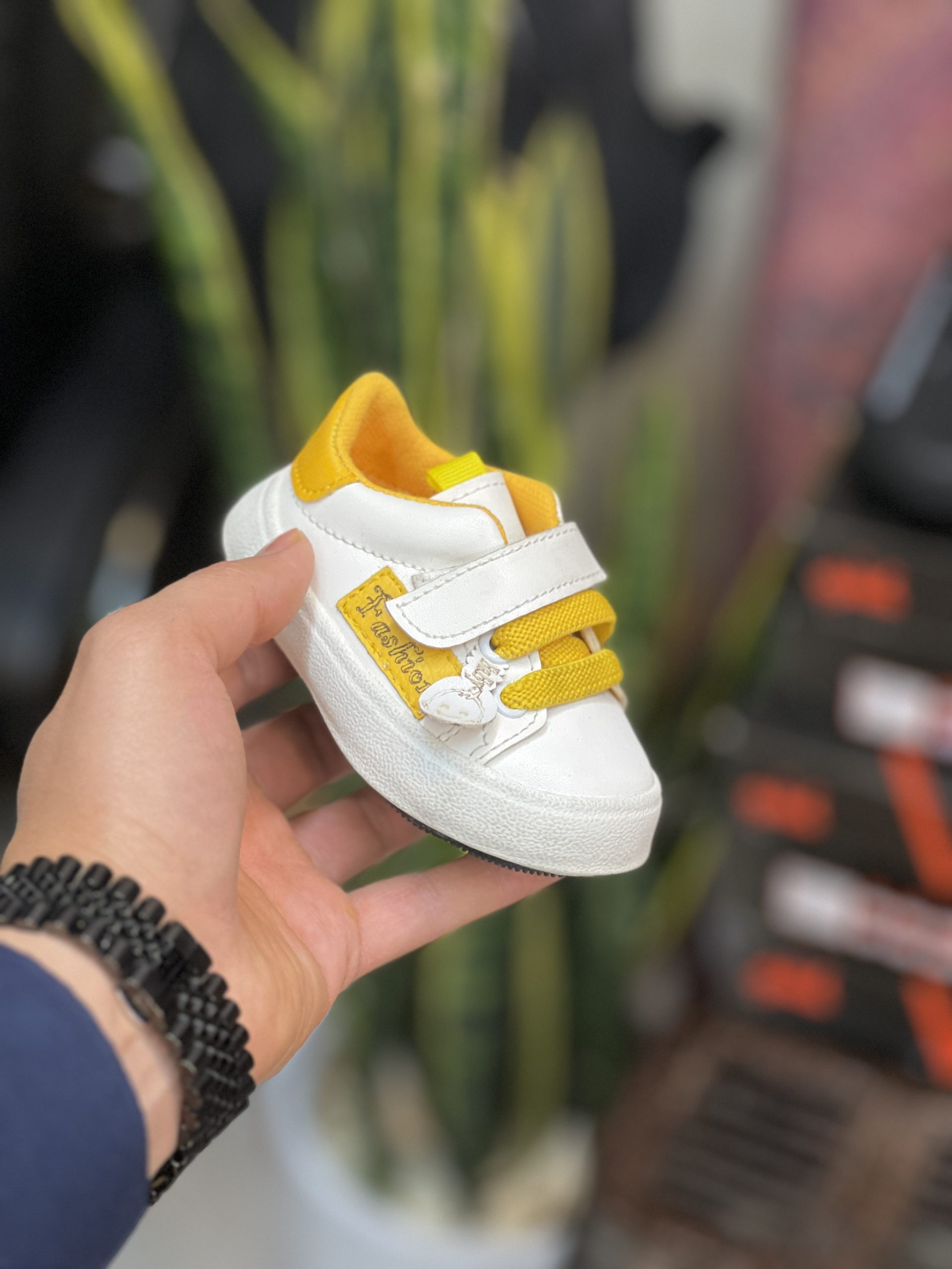 IMG_2427